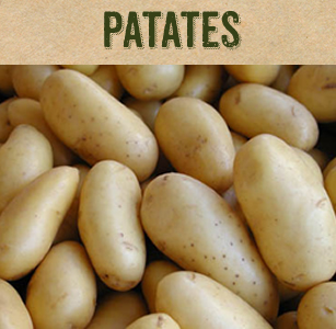 Patates