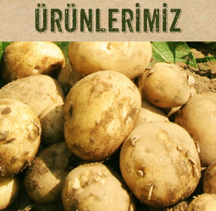 ürünlerimiz