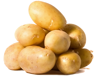 Patates